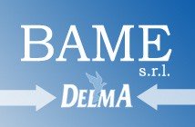 ворота Delma